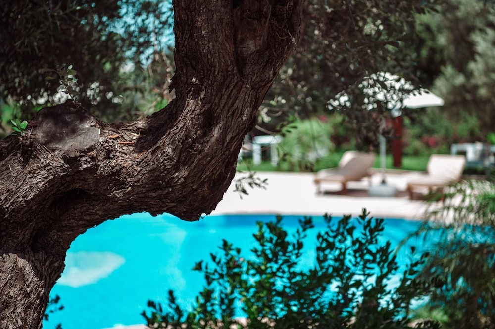 Amore Boutique Hotel 35/50