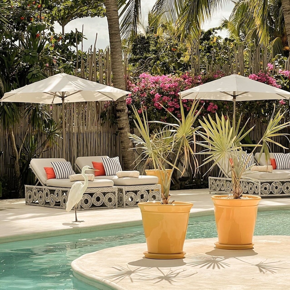 Ser Casasandra Boutique Hotel 66/78