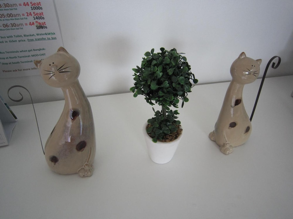 White Cat Hotel 24/45