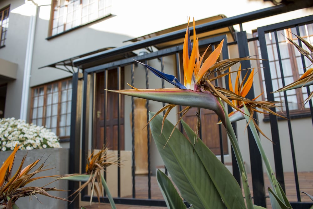 Ruth Avenue Guest House 2/34