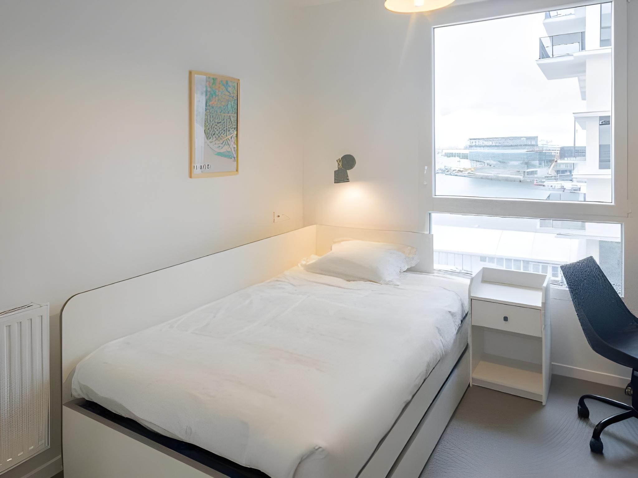 Economy, Studio, Single Bed, Large