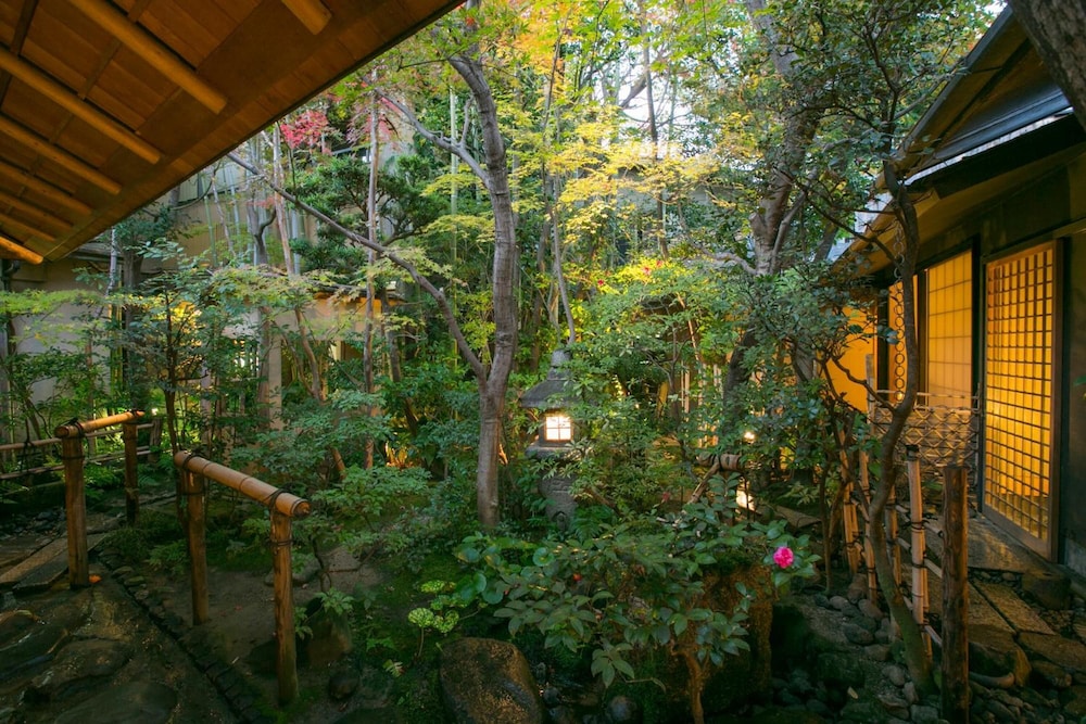 吉今 写真4