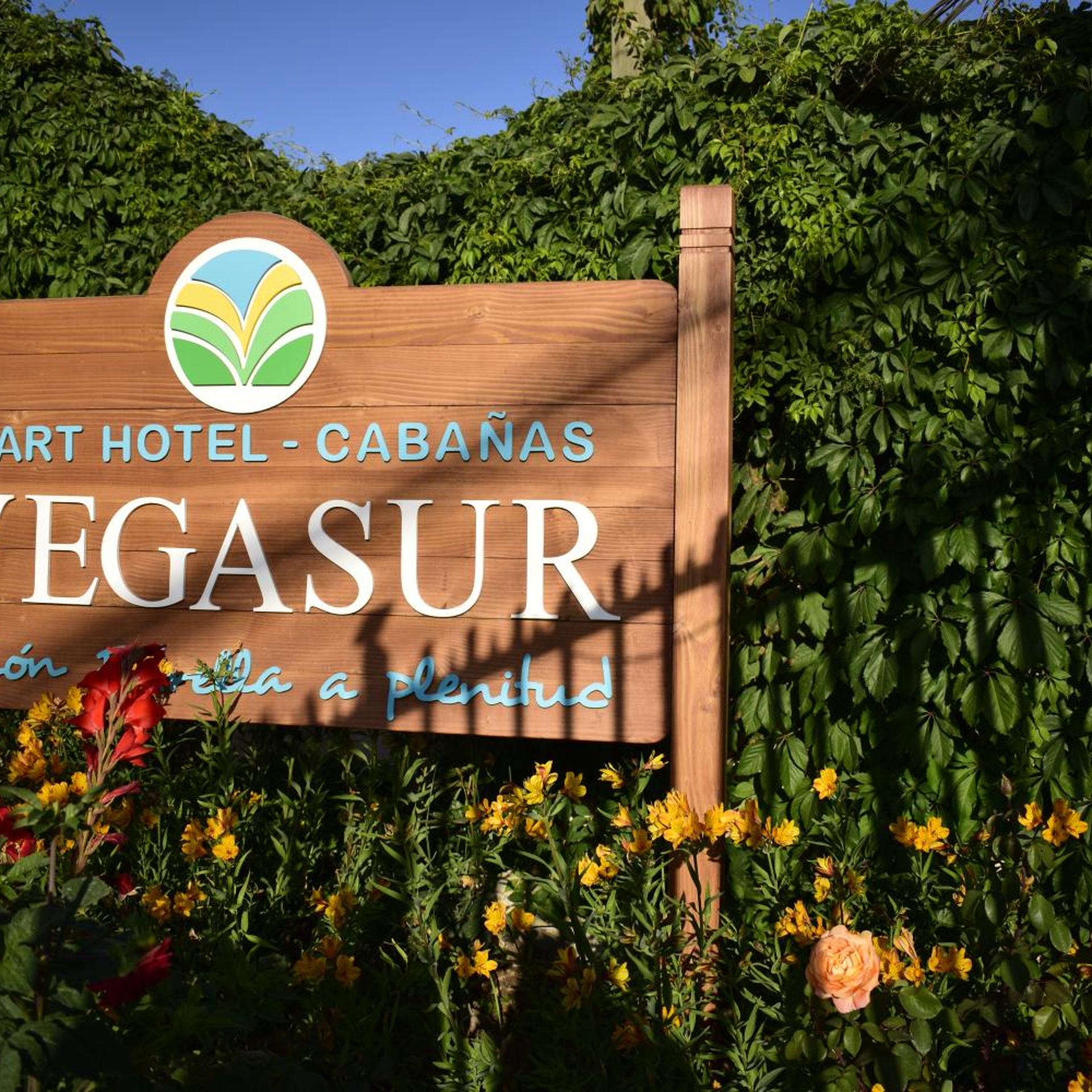 Apart Hotel Vegasur 36/50