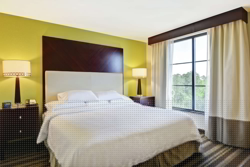 Embassy Suites By Hilton Savannah Airport 27/74