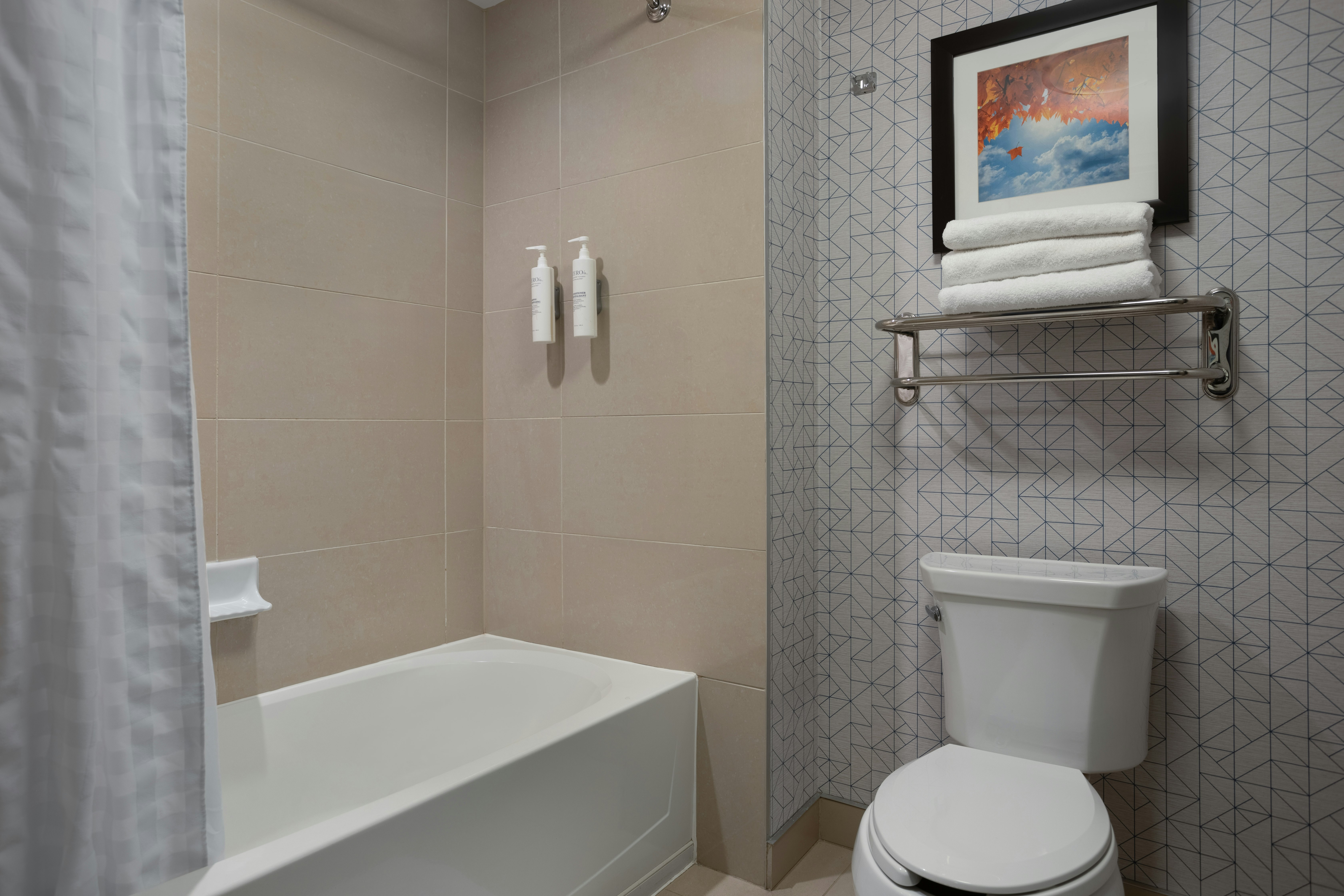 2 Bedrooms, Suite, 1 King or 2 Queen Beds