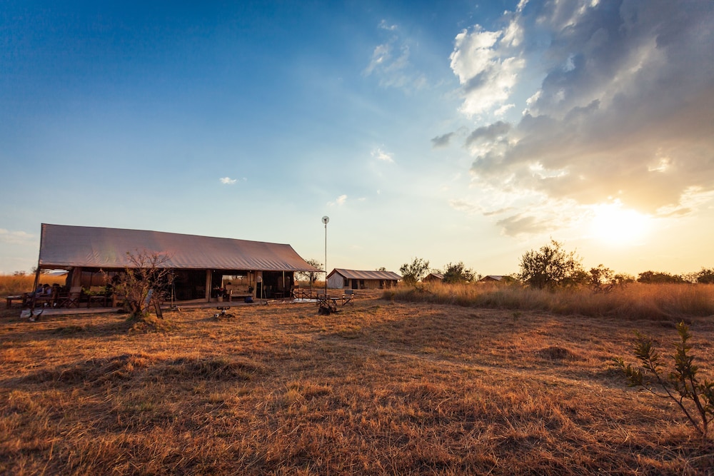 Gnu Mara River Camp 41/50