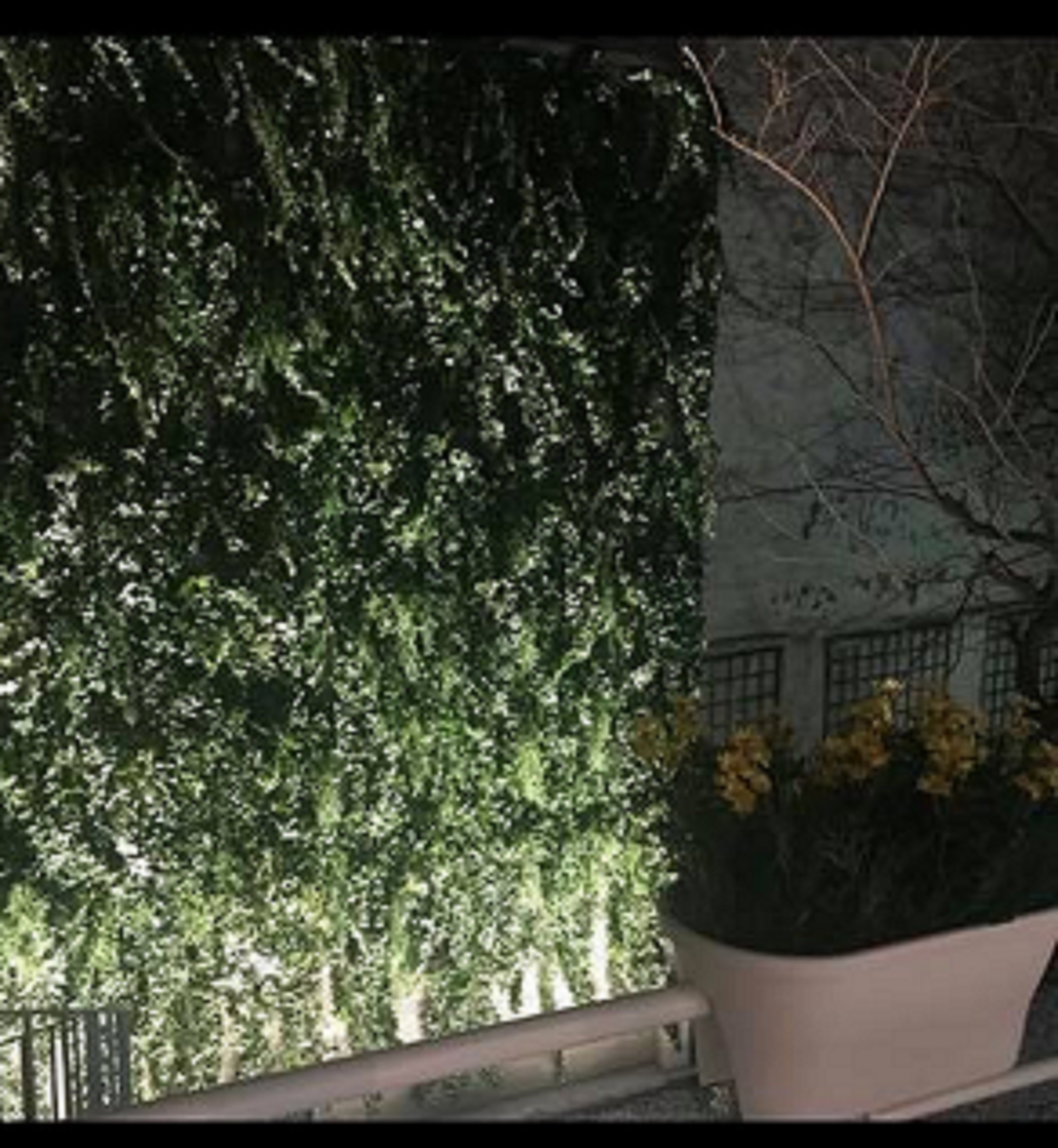 Holiday Inn Paris - Montmartre 57/62
