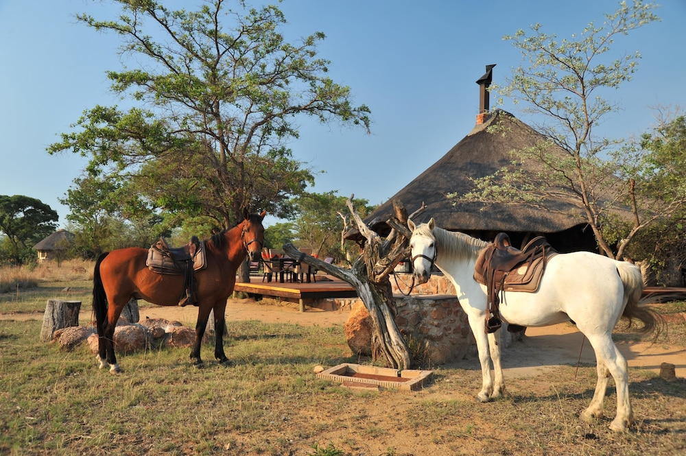 Kwafubesi Tented Safari Camp 5/45