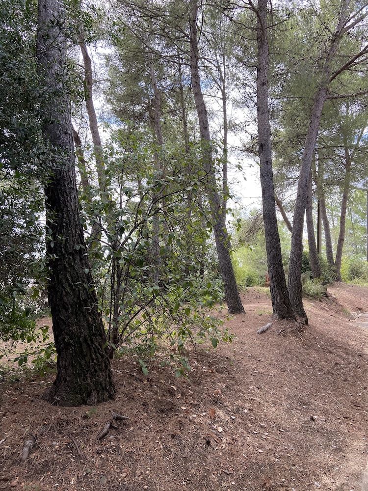 surroundings