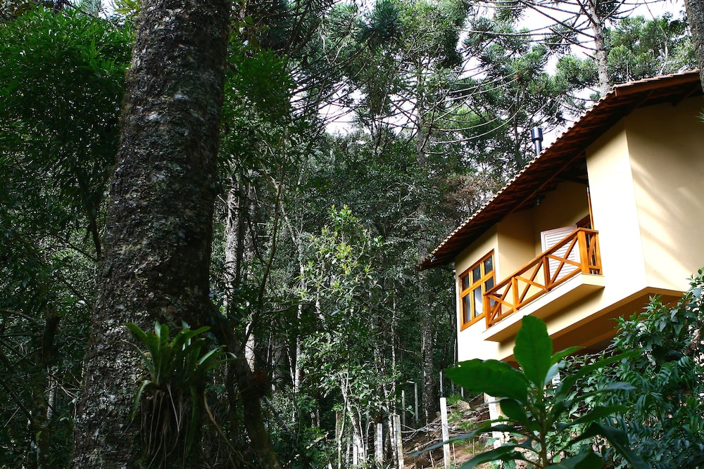 Chale da Floresta 1/36