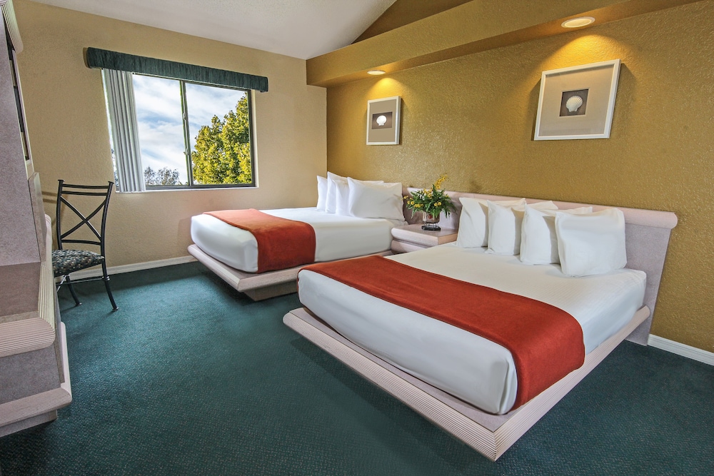 Westgate Vacation Villas Resort 21/50