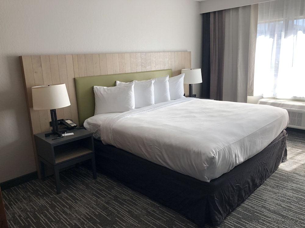 ROOM, KING BED, ACCESSIBLE