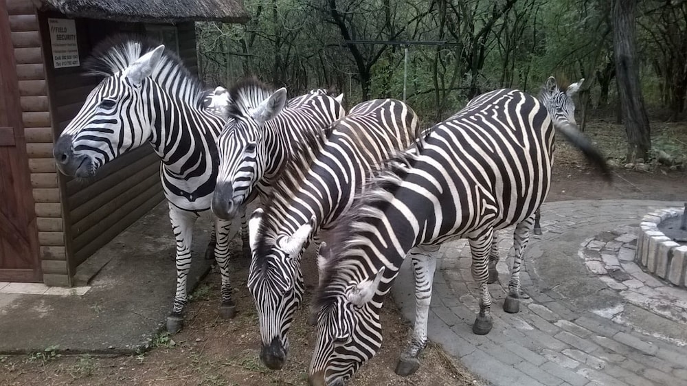 Kruger Cottage 28/36