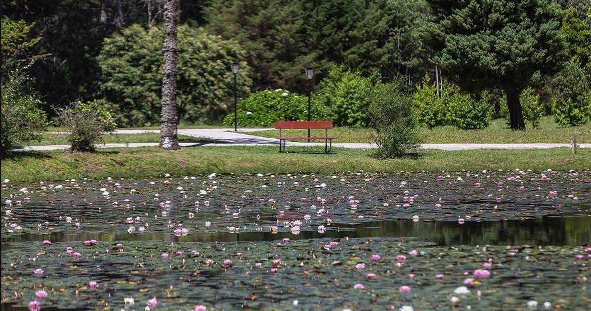 Vila Dom Bosco 13/17