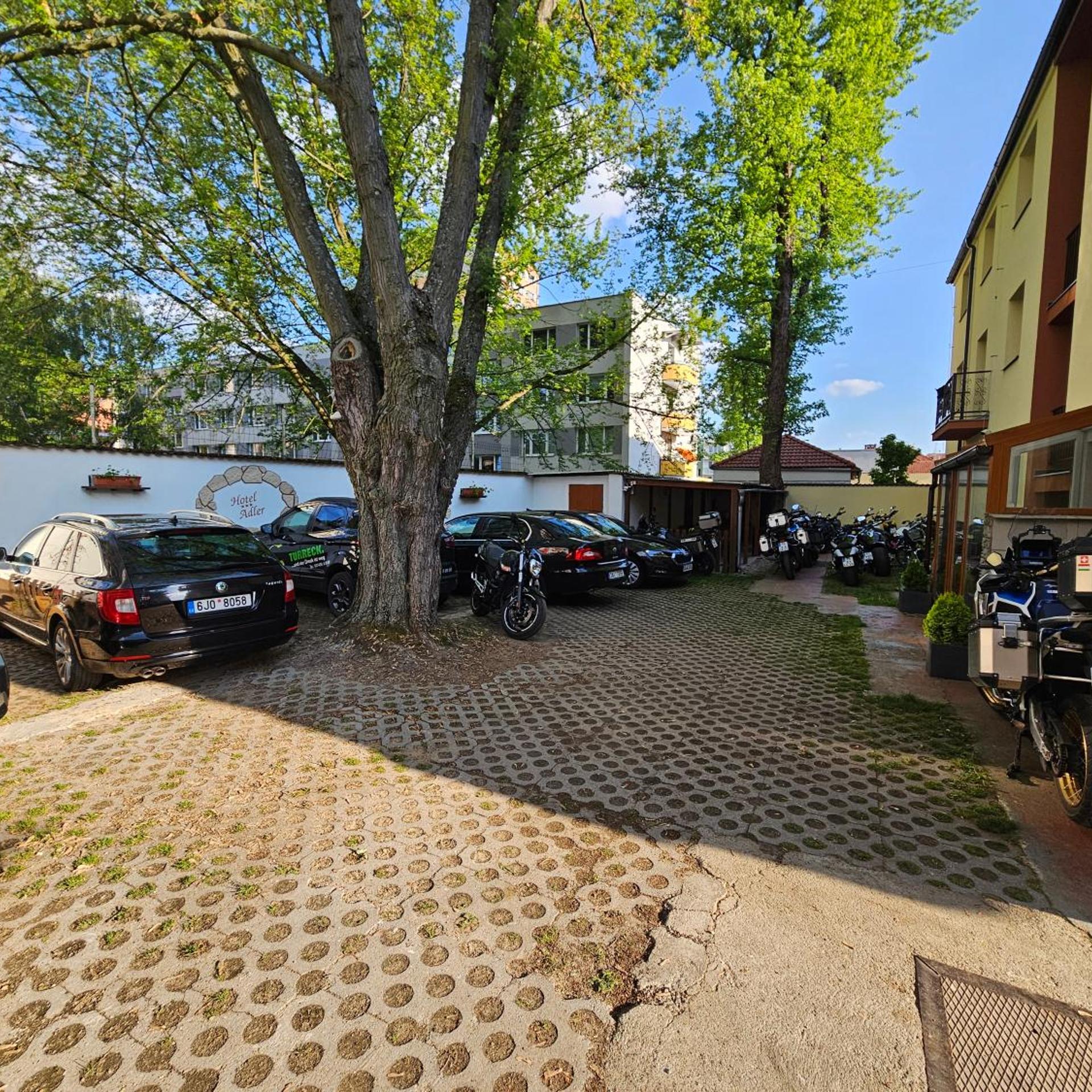 Alder 29/41