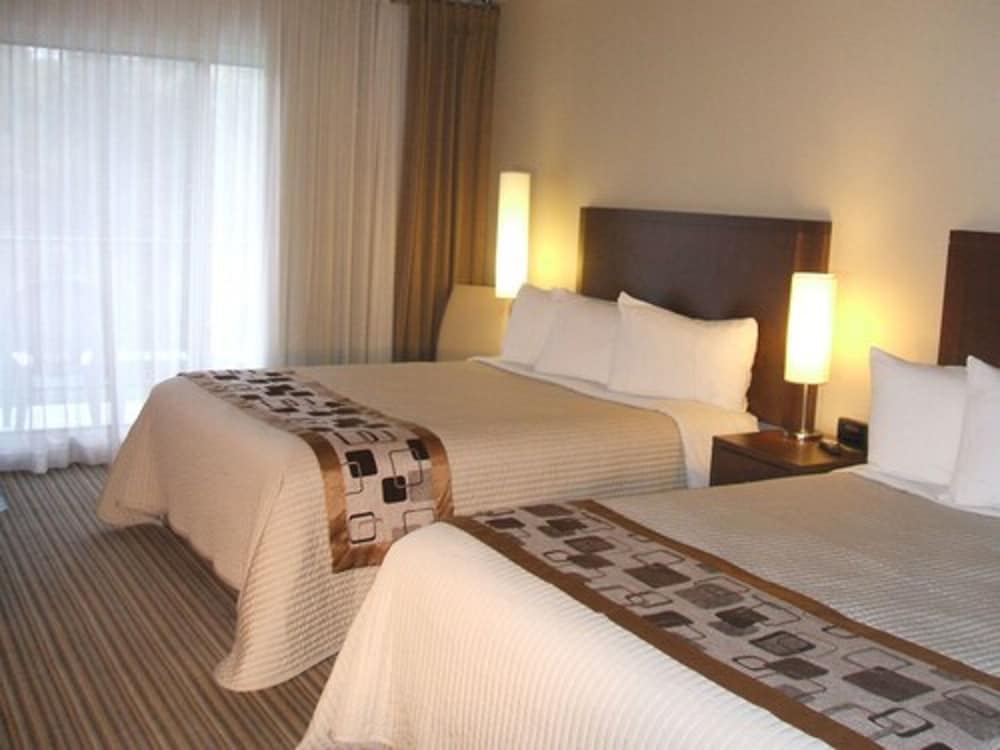 Hotel Spa Excelsior 6/53