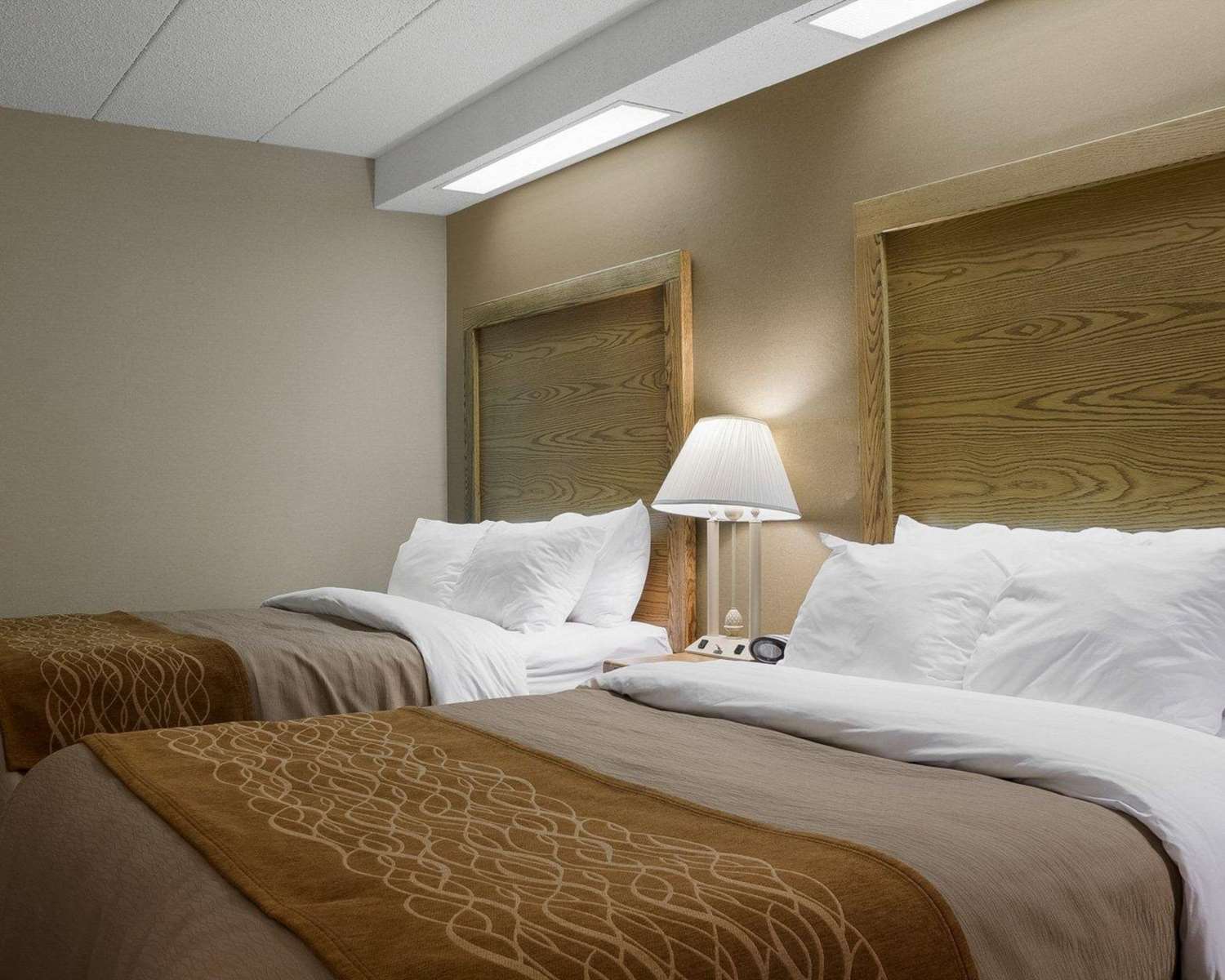 Room, 2 Double Beds