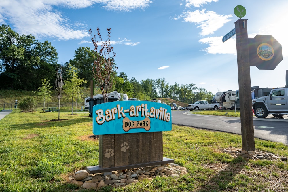 The Lodge at Camp Margaritaville 23/30