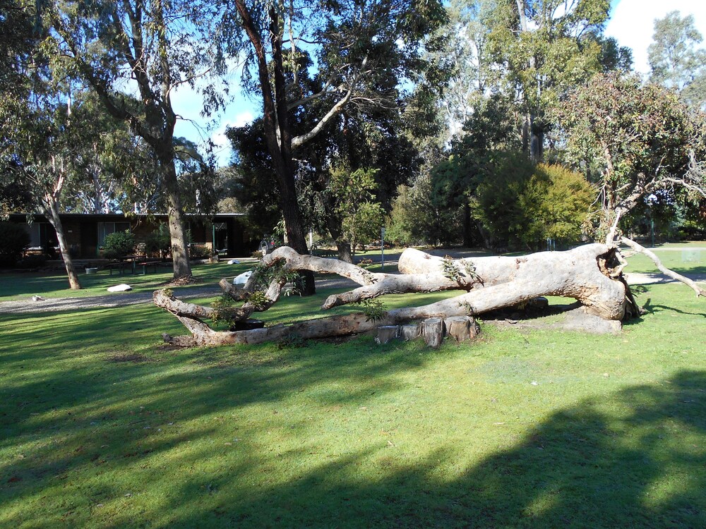 GRAMPIANS VIEW COTTAGES AND UNITS 57/64