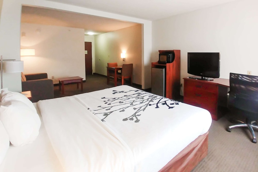 Wingate by Wyndham Dublin Near Claytor Lake State Park 12/38