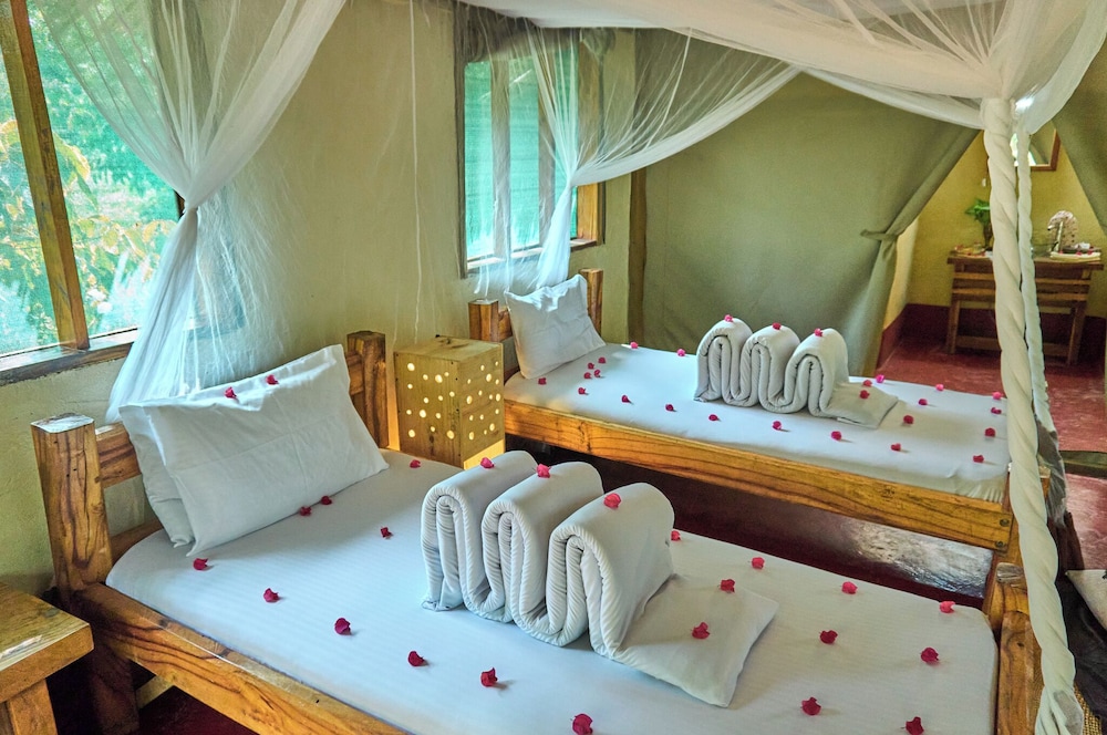 MIGUNGA TENTED CAMP 11/47