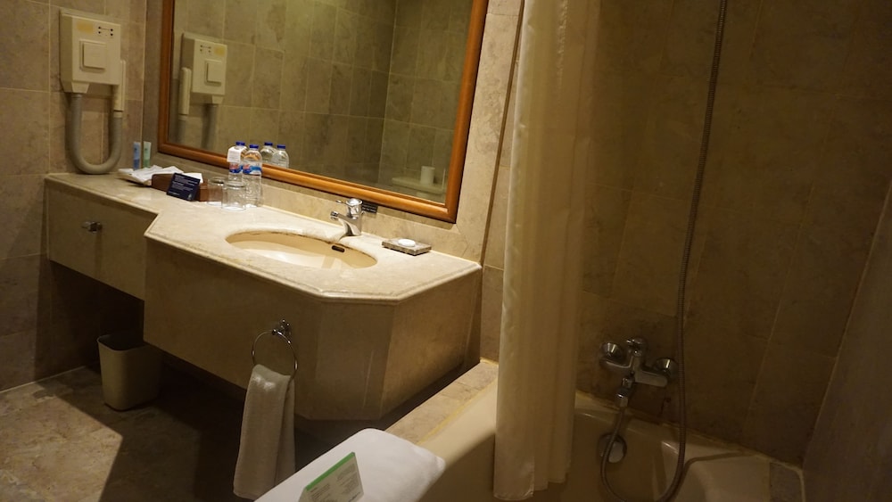 Loman Park Hotel Yogyakarta 42/50