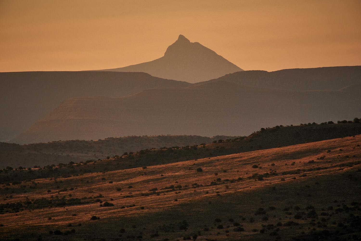 Glen Harry Game Reserve 32/44