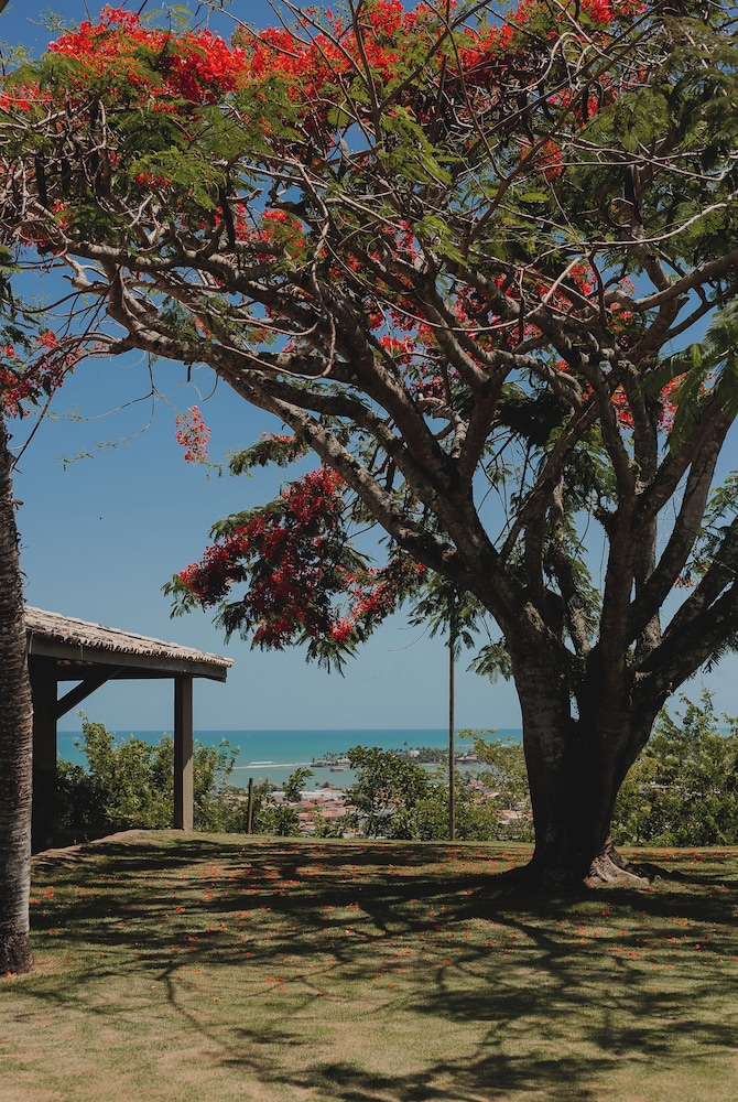 Porto Seguro Eco Bahia Hotel 82/85