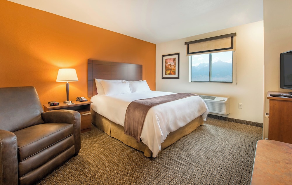 Room, Single, King Bed, Lounge Level
