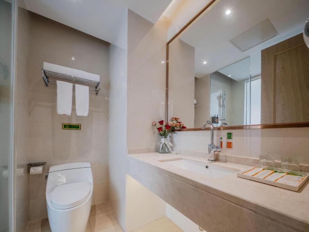 Vienna Hotel (Shenzhen Pingshan Longtian Small Town) 49/53