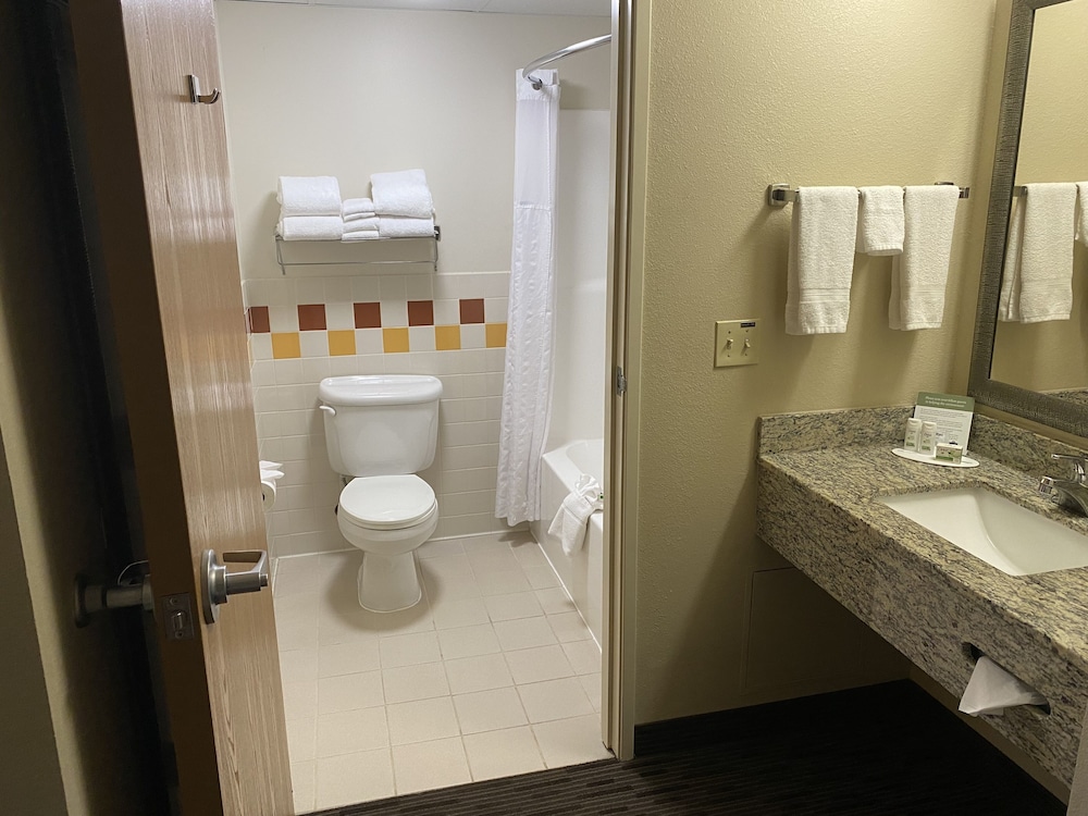 جناح بسرير كينج بغرفة نوم واحدة، Americinn By Wyndham Greenville 4/4
