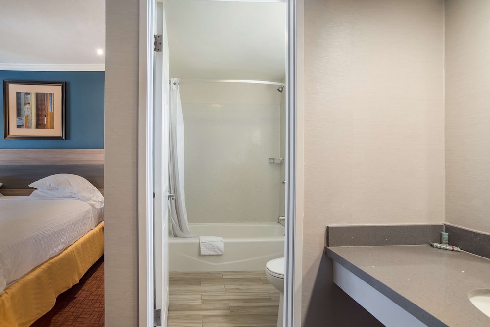 Standard, King Bed, SureStay Hotel by Best Western San Rafael 7/8