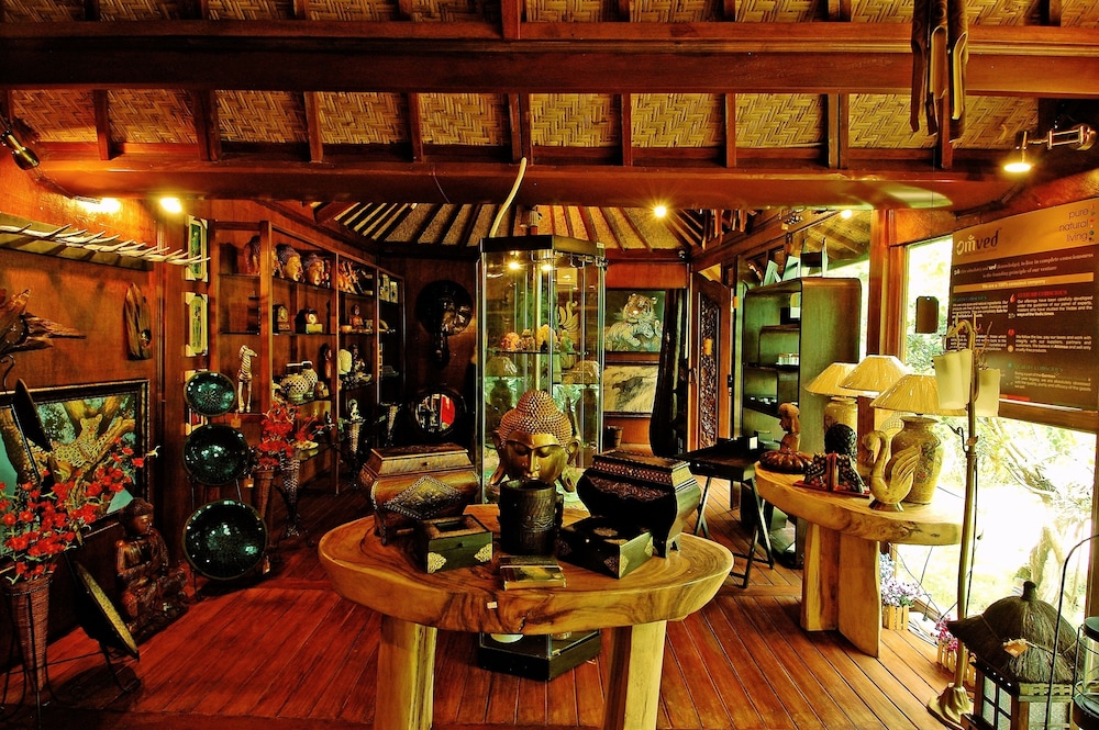 The Tree House Resort 16/35