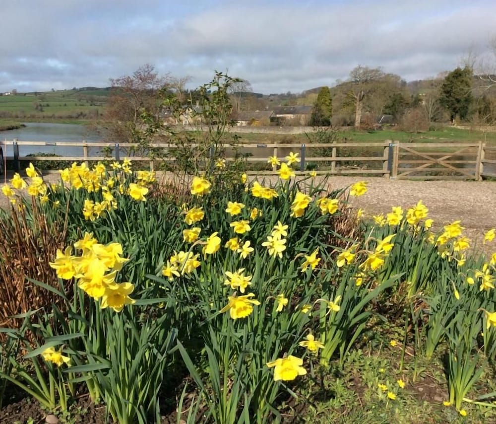 Aberllynfi House 39/45