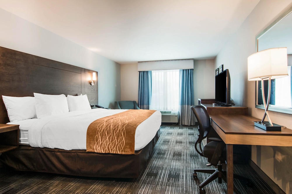 Comfort Inn & Suites East Ellijay, GA 17/41