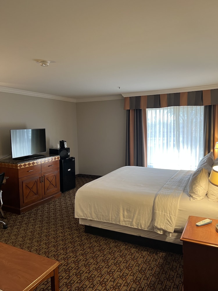 Hotel XOLA, Trademark Collection by Wyndham 19/50
