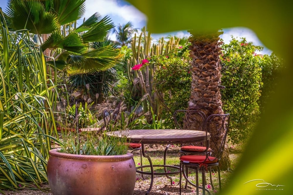 Palm Court at Orient Beach 37/50