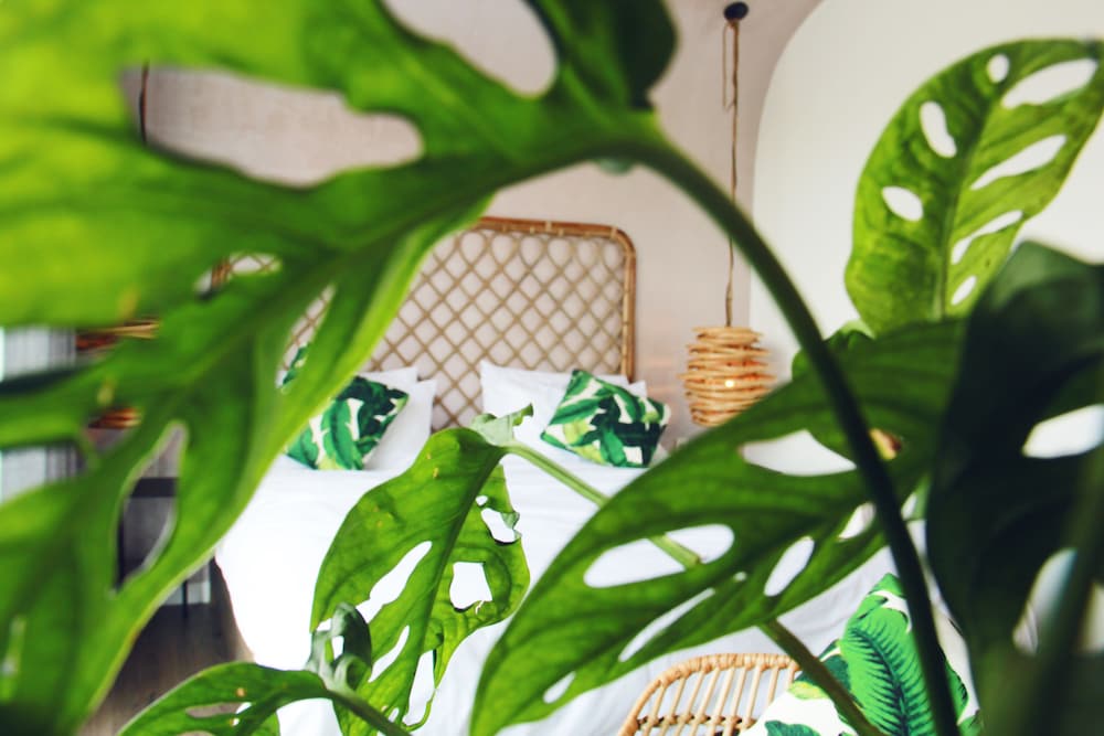 Green River Boutique Hotel 34/49