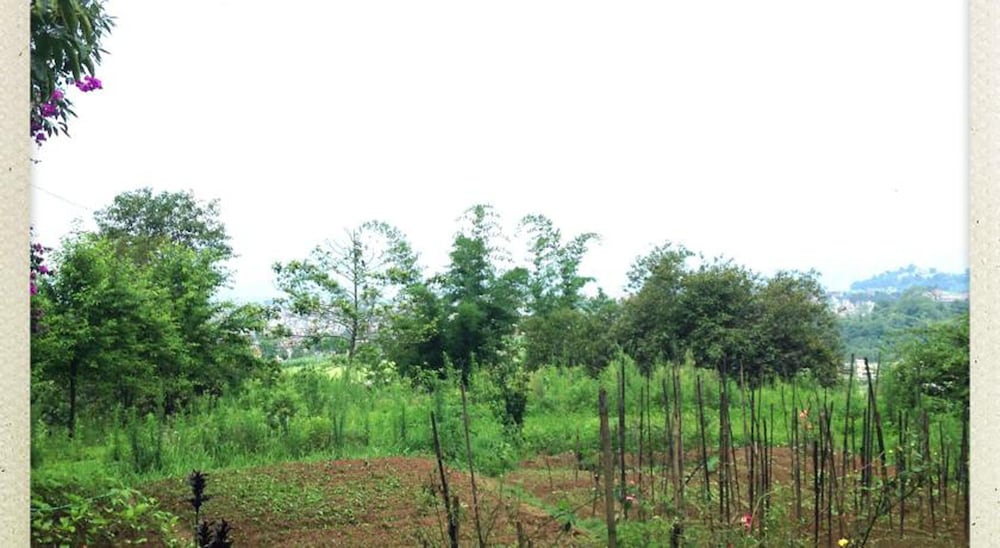 surroundings