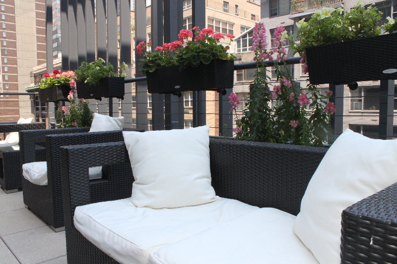 Blue Angel Hotel NYC, Ascend Hotel Collection 35/50