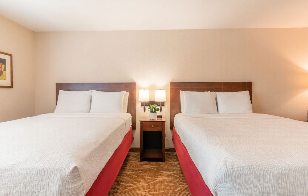STANDARD, 2 QUEEN BEDS
