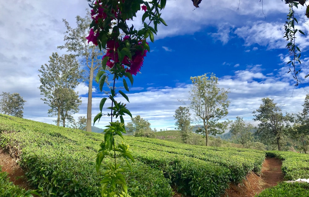 Sunvalley Homestay 27/32