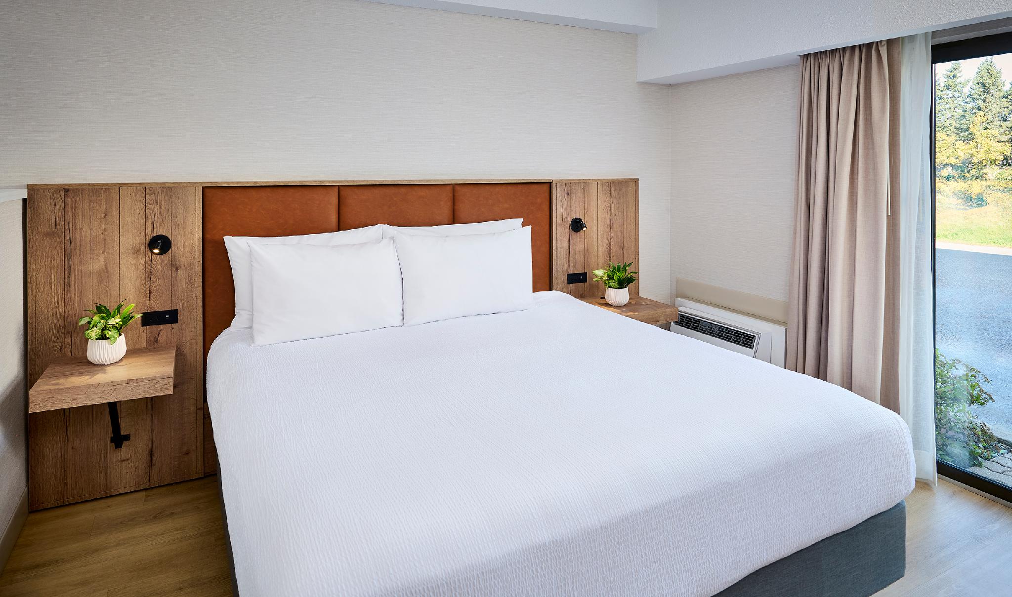 Courtyard, King Bed