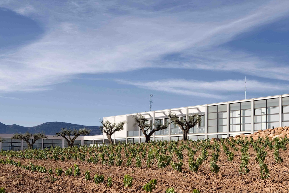 DOMUS SELECTA FINCA DE LOS ARANDINOS 50/55