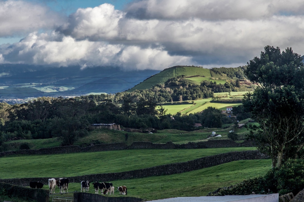 Quinta Do Norte 16/20
