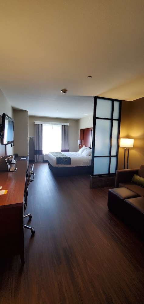 Comfort Suites Helena Airport 21/36