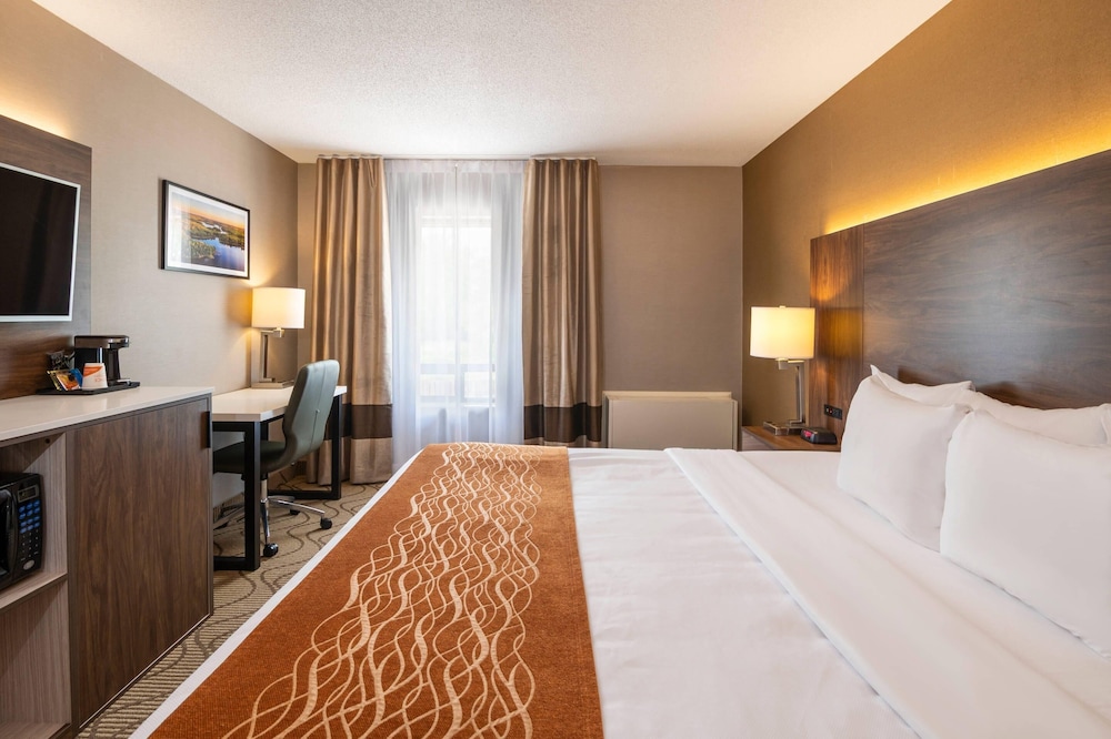 Standard, King Bed, High Floor