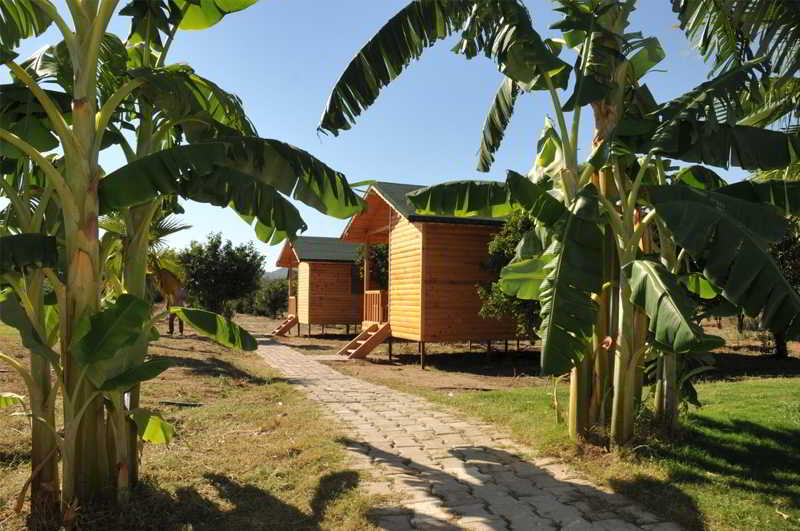 Botanik Resort Hotel 34/34