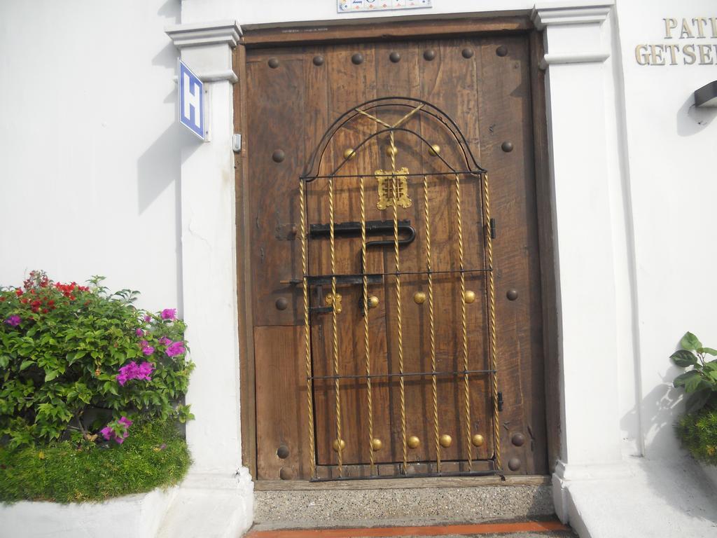 Patio de Getsemani 1/50