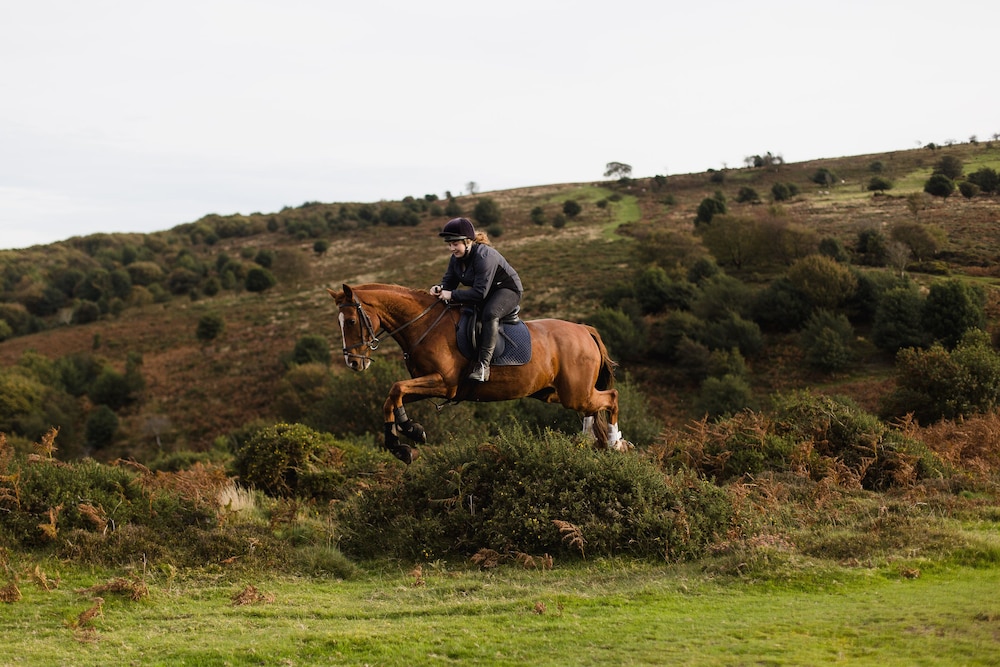Pardlestone Farm Groom S Cottage 46/50